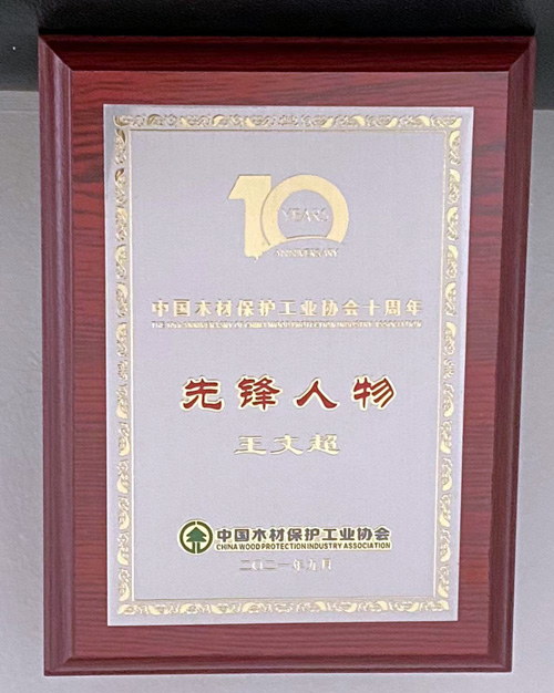 中国木材保护工业协会十周年先锋人物